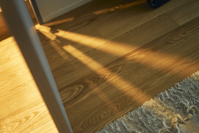 totonoüの自宅用サウナから溢れるライト